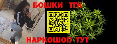 гидра Будённовск