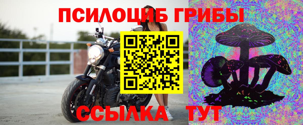Псилоцибиновые грибы прущие грибы Урюпинск